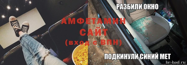 амф Алексин