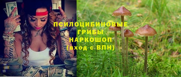 дмт Алзамай