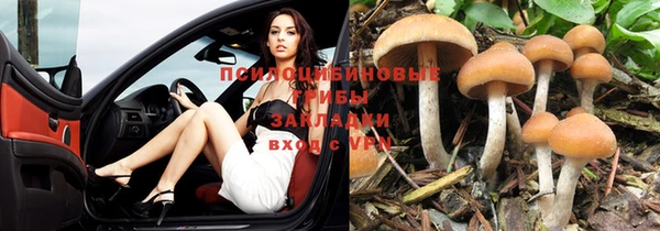 амф Алексин