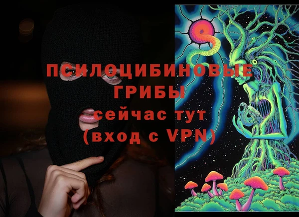 дмт Алзамай