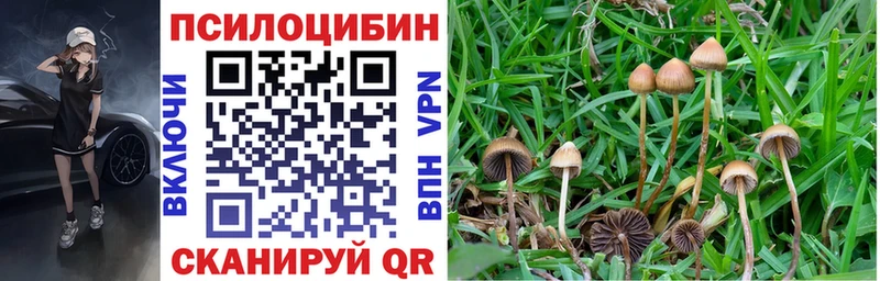 Псилоцибиновые грибы мухоморы  Чаплыгин 